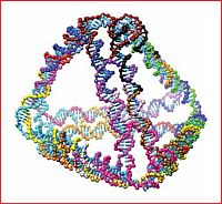 DNA simulation