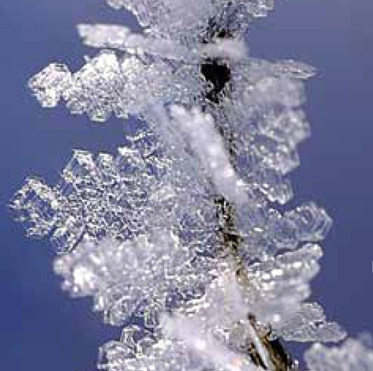 Ice Crystals Forming